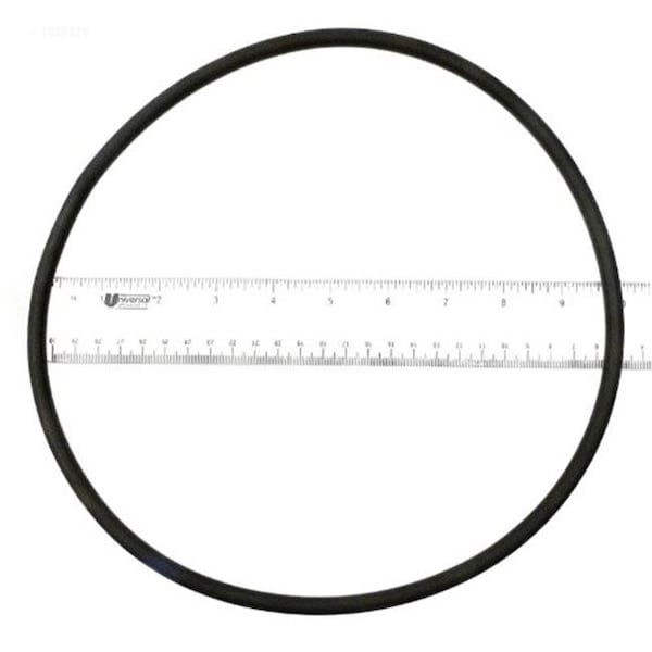 APC O-443 Starite Lid O-Ring